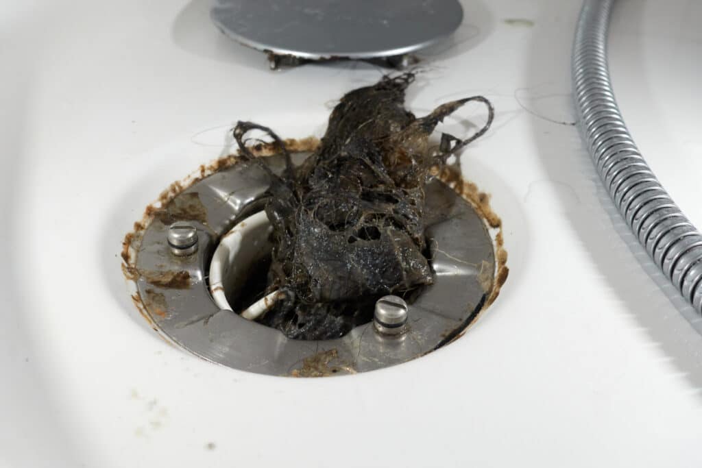 Hair in shower drain